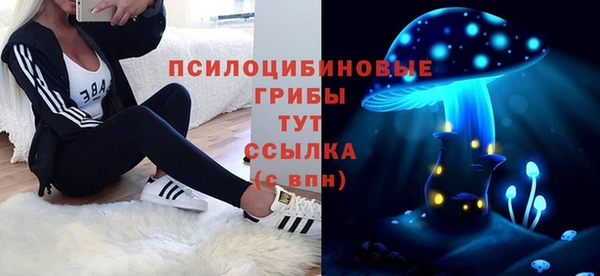 бутират Гусь-Хрустальный