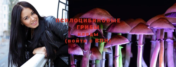 шишки Гусев