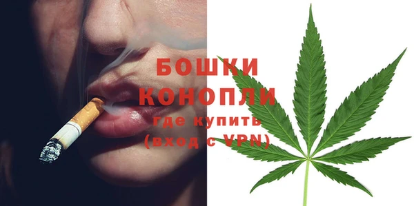 шишки Гусев