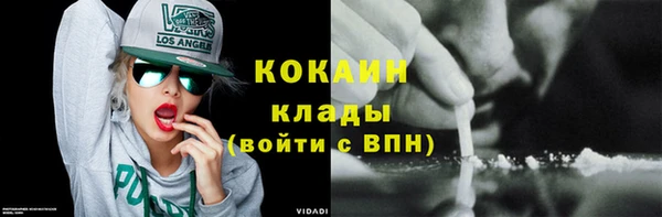 амф Гусиноозёрск