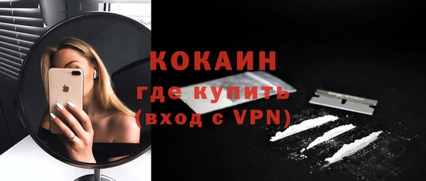 амф Гусиноозёрск