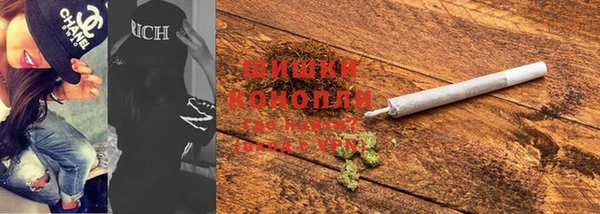 шишки Гусев