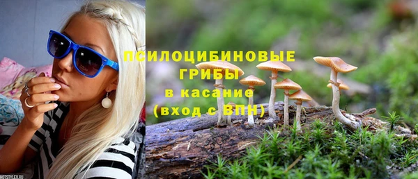 шишки Гусев