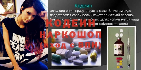 шишки Гусев