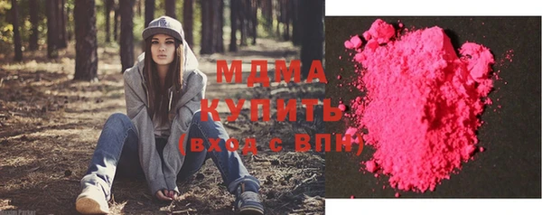 шишки Гусев