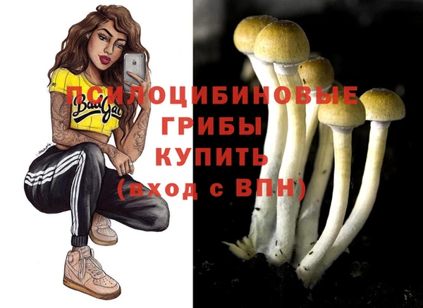 бутират Гусь-Хрустальный