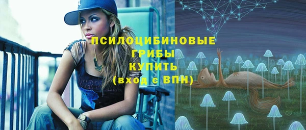 амф Гусиноозёрск