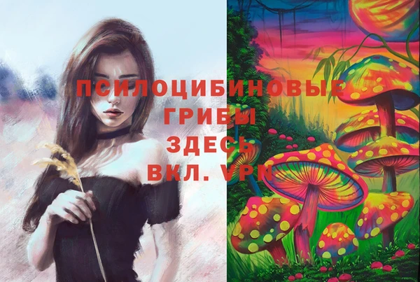 амф Гусиноозёрск
