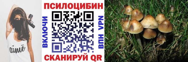 Галлюциногенные грибы Psilocybine cubensis  Купить где  Кириши 