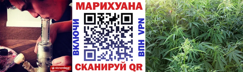 Купить где  Кириши  Конопля конопля 